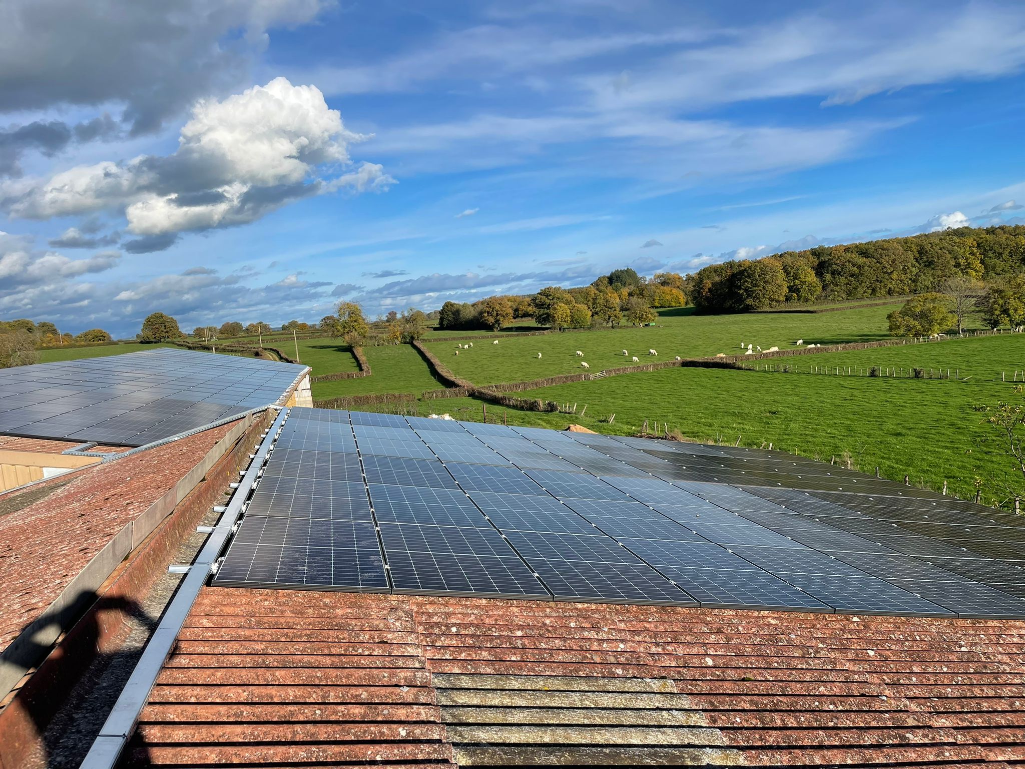 découvrez comment les bâtiments agricoles photovoltaïques durables transforment l'agriculture en alliant performance énergétique et respect de l'environnement. optimisez votre production tout en réduisant votre empreinte carbone grâce à des solutions innovantes et durables.