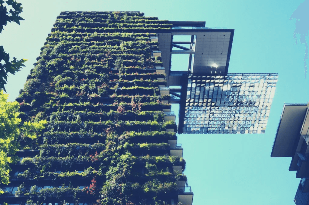 découvrez l'univers des bâtiments écologiques, où innovation et durabilité se rencontrent. explorez les matériaux écologiques, les techniques de construction durables et les avantages de vivre dans un environnement respectueux de la nature. transformez votre espace de vie tout en préservant notre planète.
