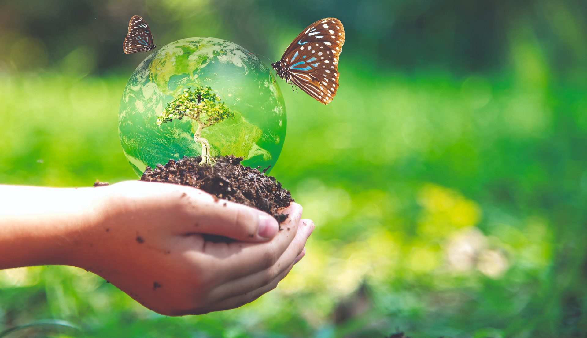 découvrez l'importance de la biodiversité et son rôle crucial dans le maintien des écosystèmes. explorez comment chaque espèce contribue à l'équilibre de la nature et à la santé de notre planète.