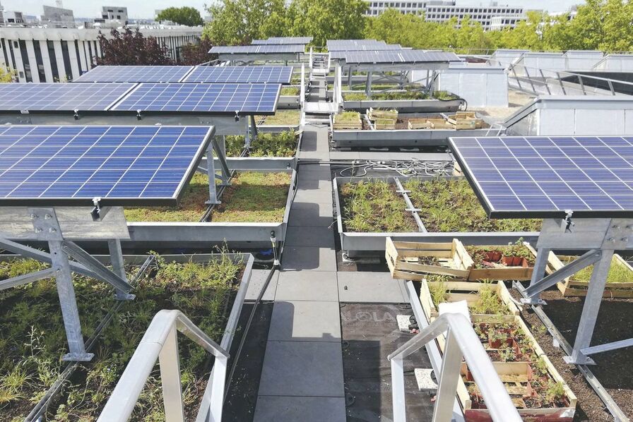 découvrez comment la biodiversité et l'énergie photovoltaïque peuvent coexister harmonieusement. explorez les avantages écologiques des installations solaires et leur impact positif sur la préservation des espèces et des habitats naturels.