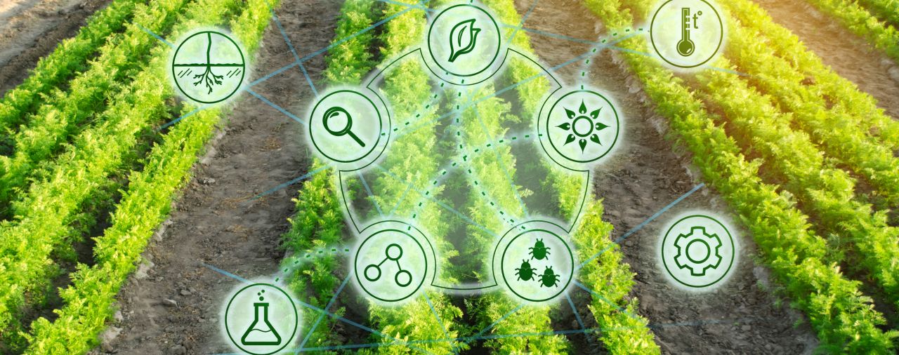 découvrez comment la biotechnologie transforme l'agriculture en optimisant les cultures, en réduisant l'utilisation des pesticides et en favorisant une production durable. explorez les innovations qui façonnent l'avenir de l'agriculture.