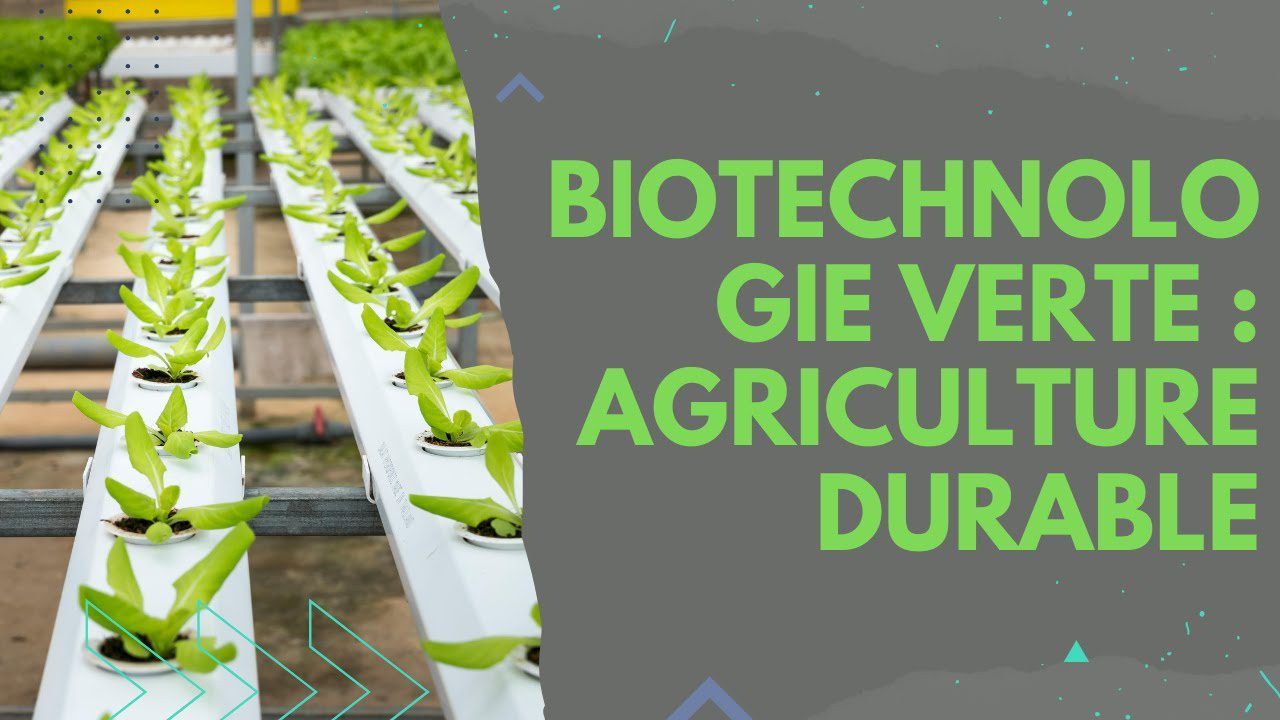 découvrez comment la biotechnologie révolutionne l'agriculture moderne en optimisant les rendements, en améliorant la résistance des cultures et en favorisant des pratiques durables pour un avenir alimentaire meilleur.