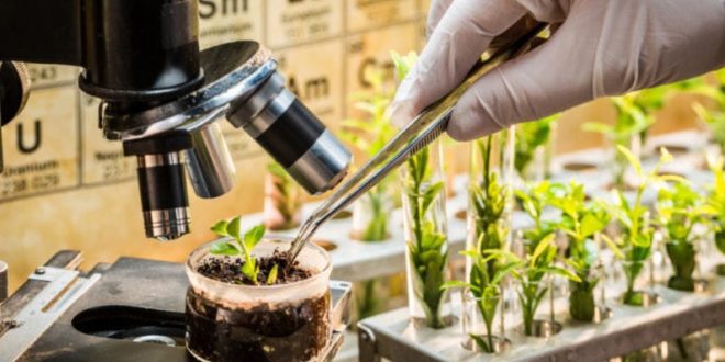 découvrez comment la biotechnologie révolutionne le secteur de l'agriculture en améliorant les rendements, la résistance aux maladies et la durabilité des cultures. explorez les innovations et les technologies qui transforment l'avenir de l'agriculture pour nourrir une population mondiale croissante.