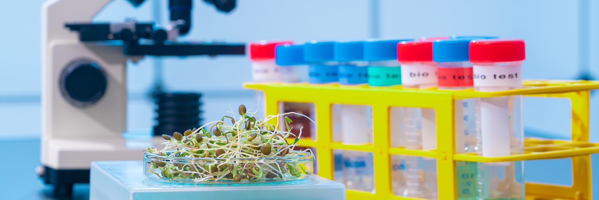 découvrez comment les biotechnologies et les innovations vertes transforment notre avenir en offrant des solutions durables pour l'environnement. explorez les dernières avancées qui allient science et écologie pour un monde plus respectueux de la planète.