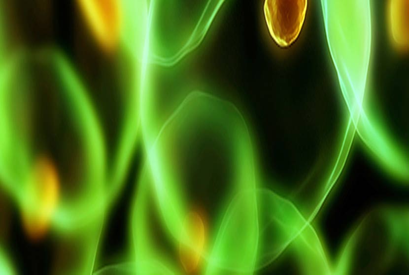 découvrez comment les biotechnologies et les innovations vertes transforment notre planète. explorez des solutions durables, des avancées scientifiques et des technologies respectueuses de l'environnement qui stimulent la croissance économique tout en préservant la biodiversité.