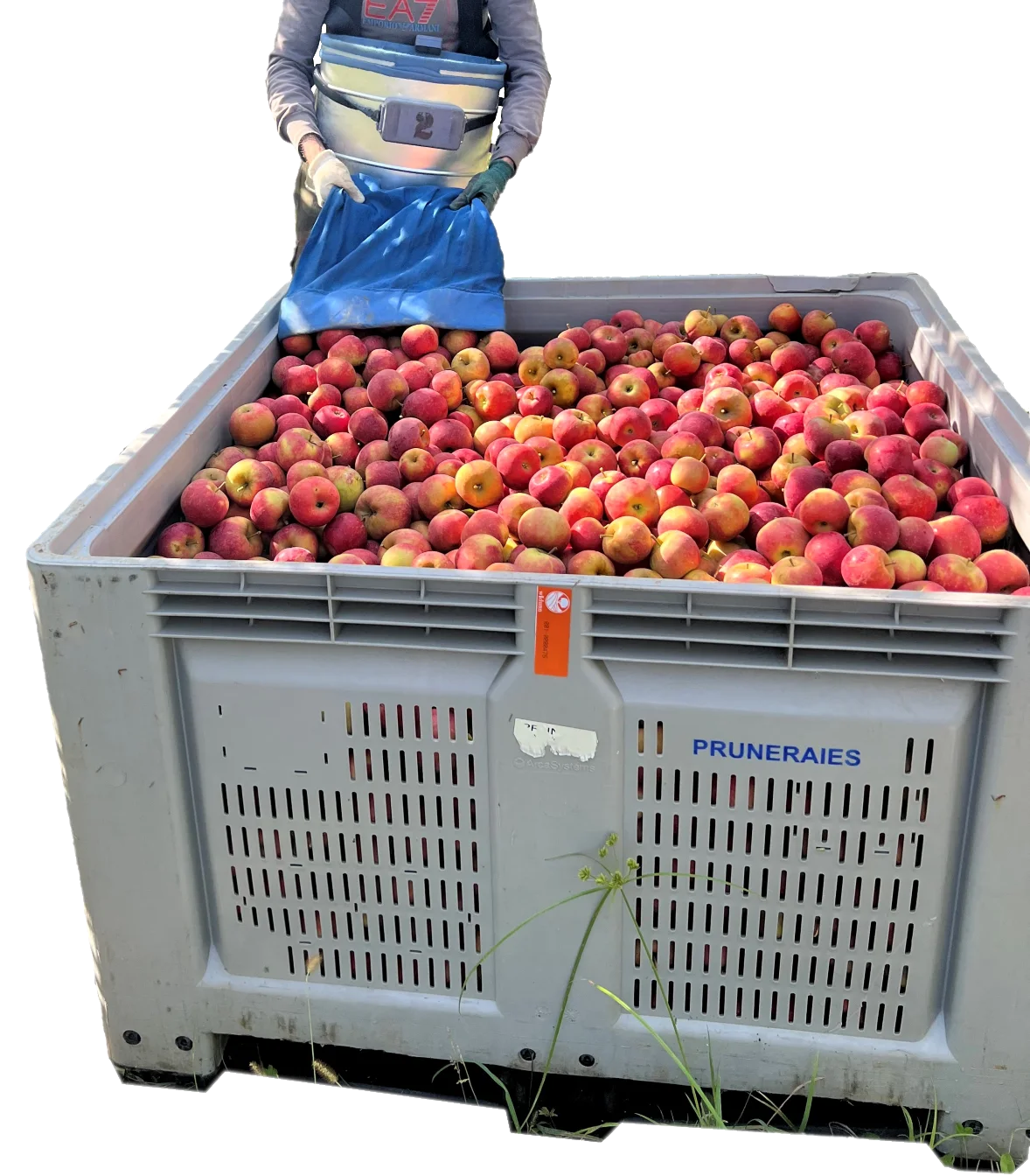 découvrez les derniers capteurs dédiés à l'optimisation des récoltes. améliorez votre production agricole grâce à des technologies innovantes qui suivent le rendement et la santé de vos cultures.