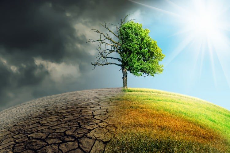 découvrez l'impact du changement climatique sur notre planète, les causes sous-jacentes, et les solutions pour agir ensemble en faveur d'un avenir durable.