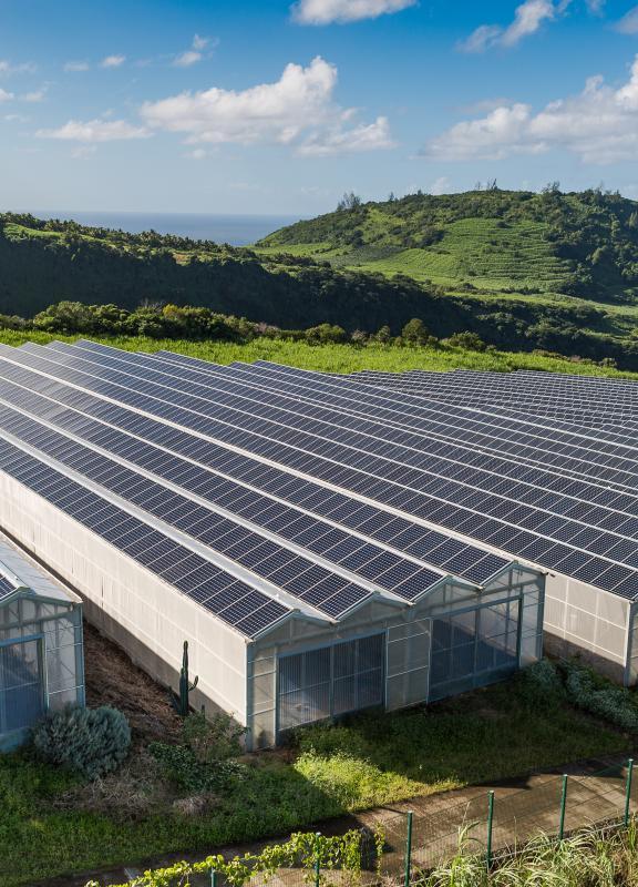 découvrez les options de panneaux photovoltaïques adaptés aux exploitations agricoles pour optimiser votre production d'énergie renouvelable tout en réduisant vos coûts. explorez les avantages, les investissements et les retours sur investissement pour une agriculture durable.