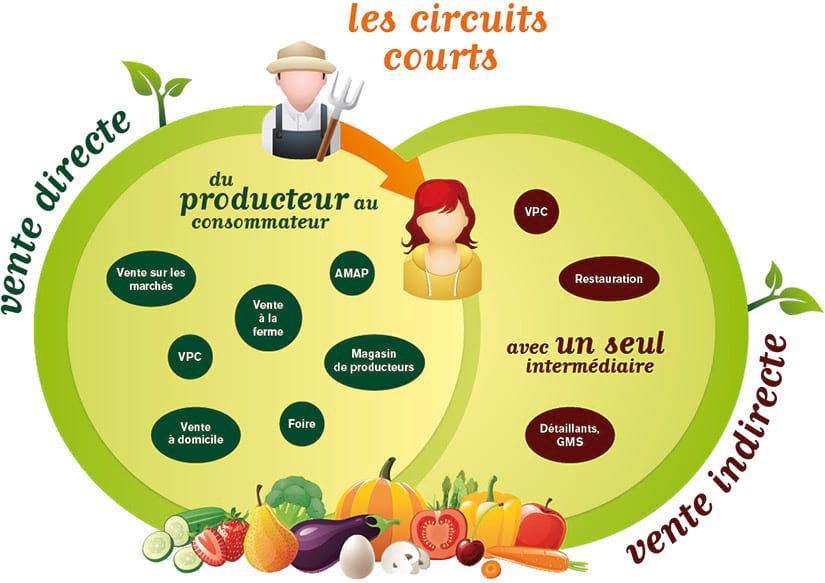 découvrez les bienfaits des circuits courts pour votre alimentation : des produits frais, locaux et de saison qui soutiennent les agriculteurs de votre région tout en réduisant l'empreinte carbone. adoptez une alimentation responsable et savourez des saveurs authentiques!