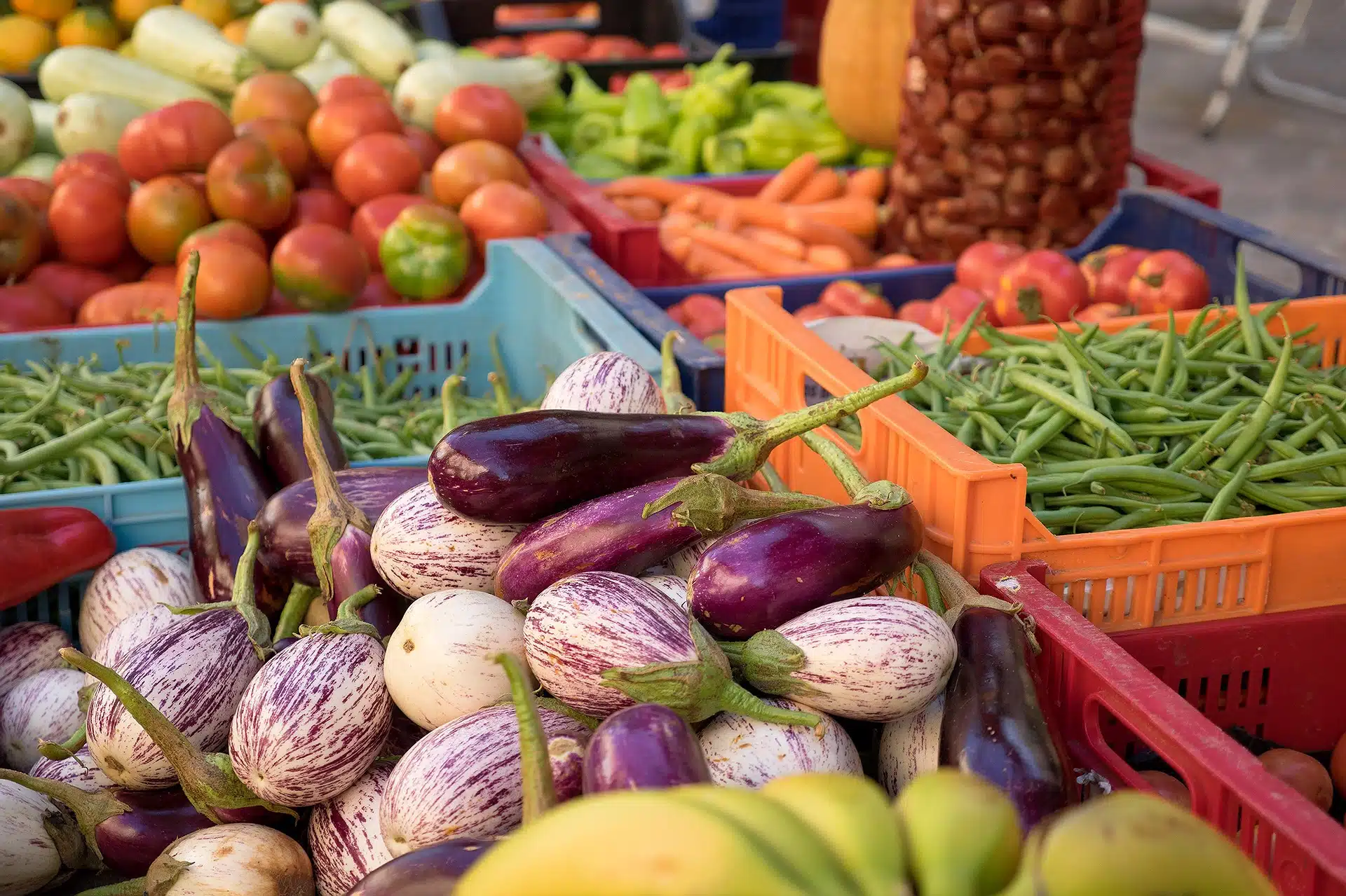 découvrez les avantages des circuits courts pour une alimentation saine et durable. apprenez à soutenir les producteurs locaux tout en savourant des produits frais et de saison.