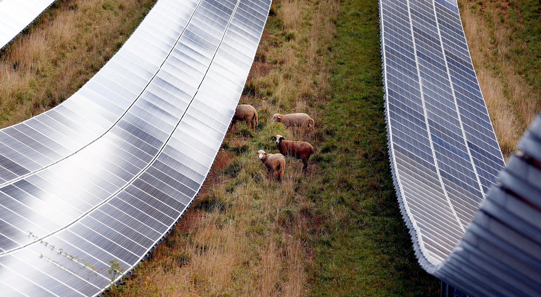 découvrez comment les collaborations innovantes entre agriculteurs et installations photovoltaïques transforment l'agriculture durable. maximisez l'utilisation des terres tout en générant de l'énergie renouvelable et stimulez votre projet avec des solutions respectueuses de l'environnement.