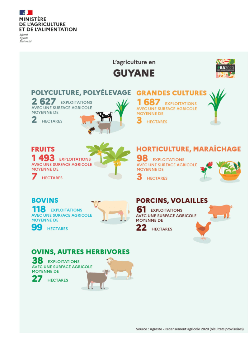 découvrez notre comparatif sur l'agri-renouveau durable, mettant en lumière les pratiques innovantes et respectueuses de l'environnement. comparez différentes approches agricoles pour un avenir plus vert et durable.