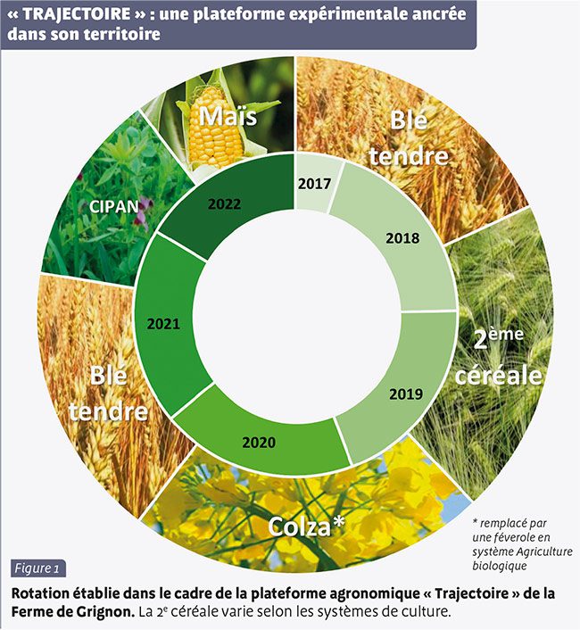 découvrez notre comparatif sur agrisoleil, une initiative dédiée à l'agriculture durable. analysez les meilleures pratiques, les innovations et les solutions écologiques pour optimiser vos récoltes tout en préservant l'environnement.