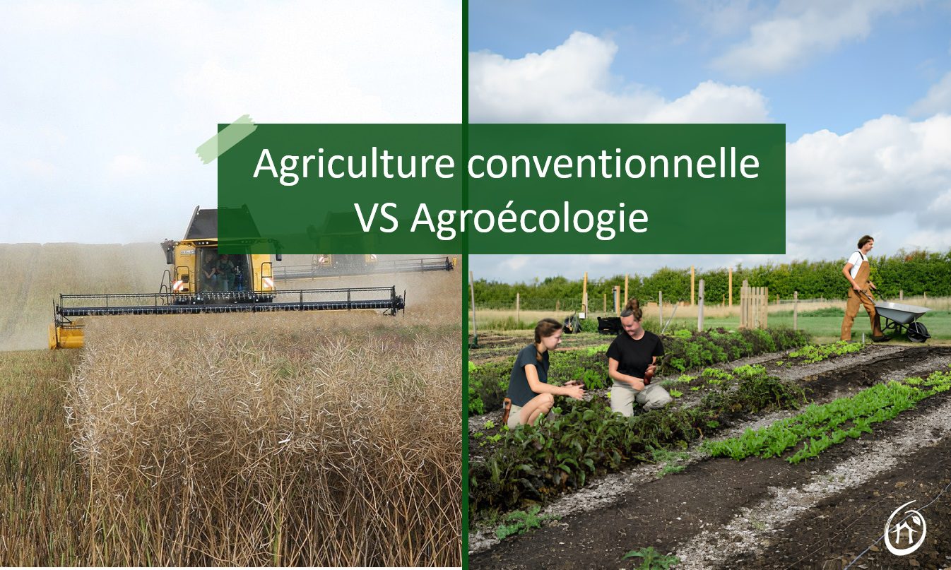 découvrez notre comparatif approfondi sur agrisoleil, une initiative révolutionnaire en matière d'agriculture durable. analysez les avantages, les caractéristiques et les performances des solutions proposées pour optimiser votre production tout en respectant l'environnement.