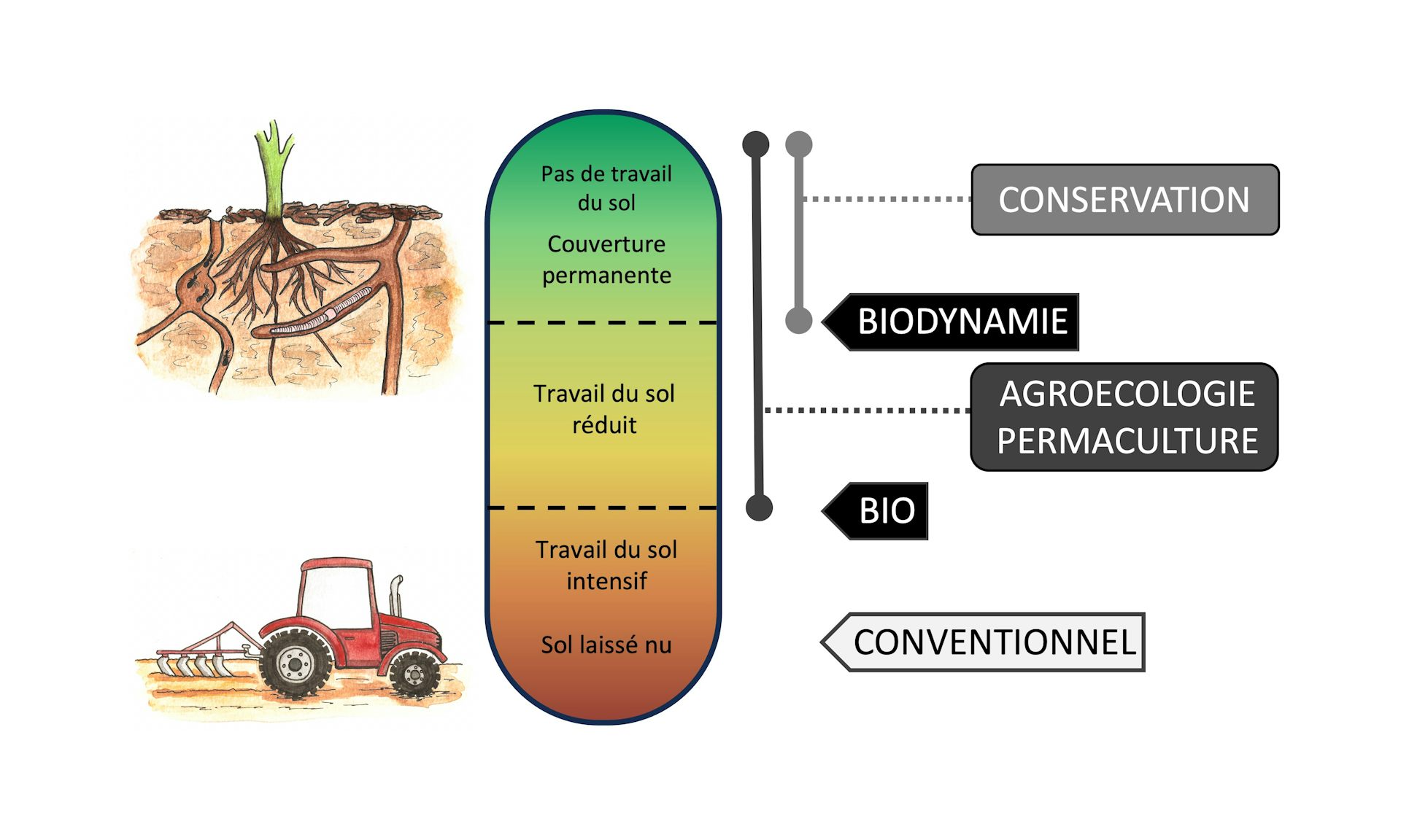 découvrez notre comparatif agrisoleil sur l'agriculture durable, où nous analysons les meilleures pratiques et technologies pour cultiver de manière responsable tout en préservant l'environnement. informez-vous sur les avantages des solutions durables pour agriculteurs et écoresponsables.