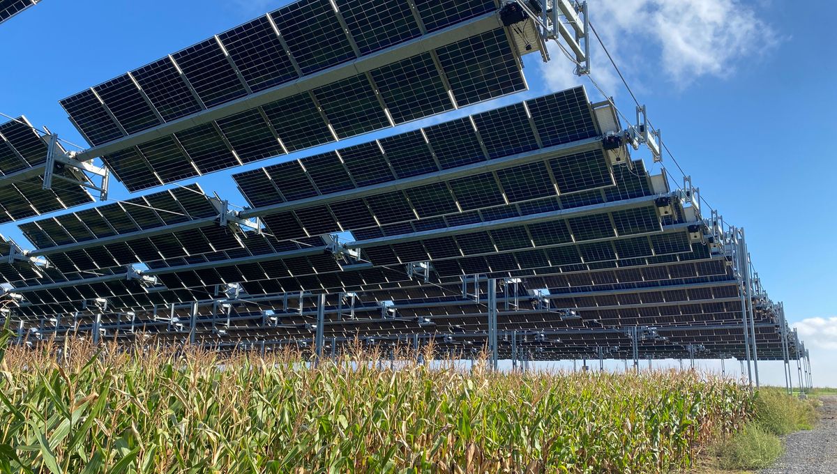 découvrez notre comparatif détaillé des bâtiments agricoles photovoltaïques. analysez les avantages, les coûts et les performances des différentes options disponibles pour maximiser l'efficacité énergétique de votre exploitation agricole tout en respectant l'environnement.