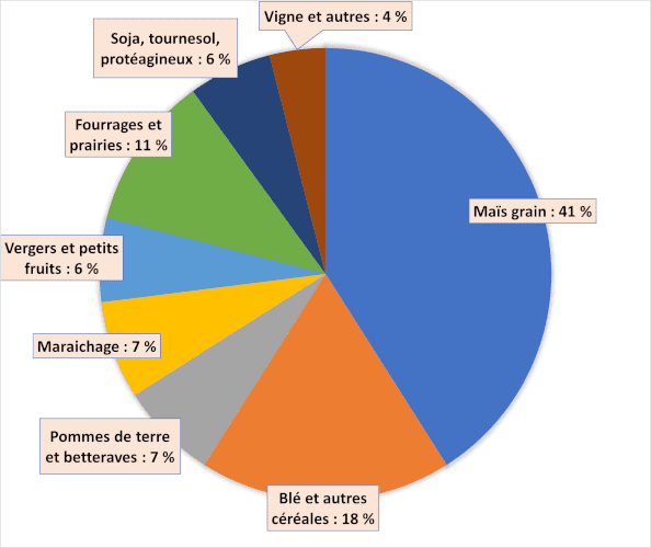 découvrez notre comparatif des cultures énergétiques, qui analyse les différentes sources d'énergie, leur impact environnemental, leur durabilité et leur efficacité. informez-vous sur les avantages et inconvénients de chaque culture pour mieux comprendre les choix énergétiques de demain.