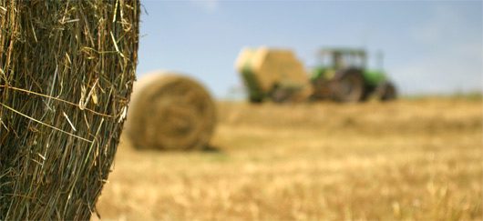 découvrez notre comparatif des énergies agricoles, une analyse complète des différentes sources d'énergie utilisées dans l'agriculture. évaluez les performances, les coûts et les impacts environnementaux des énergies renouvelables et conventionnelles pour optimiser vos choix énergétiques.
