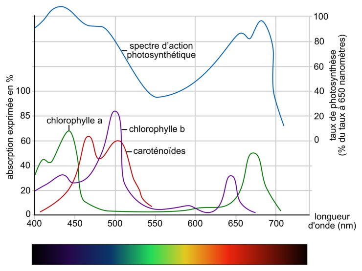 découvrez notre comparatif détaillé sur l'énergie lumineuse. analysez les différentes sources de lumière, leurs avantages et inconvénients, et trouvez la solution la plus adaptée à vos besoins. éclairez vos choix avec nos conseils et recommandations.
