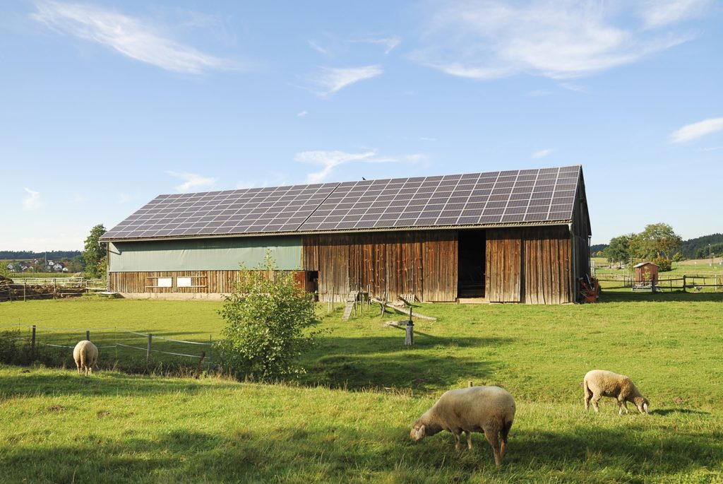 découvrez les différences clés entre un hangar traditionnel et un hangar photovoltaïque. ce comparatif vous aide à choisir la meilleure option pour vos besoins, en intégrant des aspects de coût, d'efficacité énergétique et d'impact environnemental.