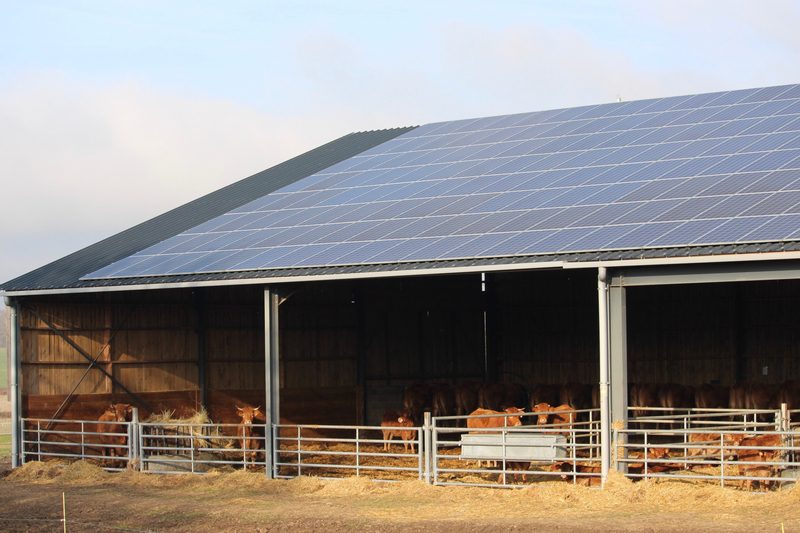 découvrez notre comparatif des hangars photovoltaïques : analysez les différents modèles, leurs avantages, et choisissez la solution qui maximisera votre production d'énergie solaire tout en optimisant l'espace disponible.