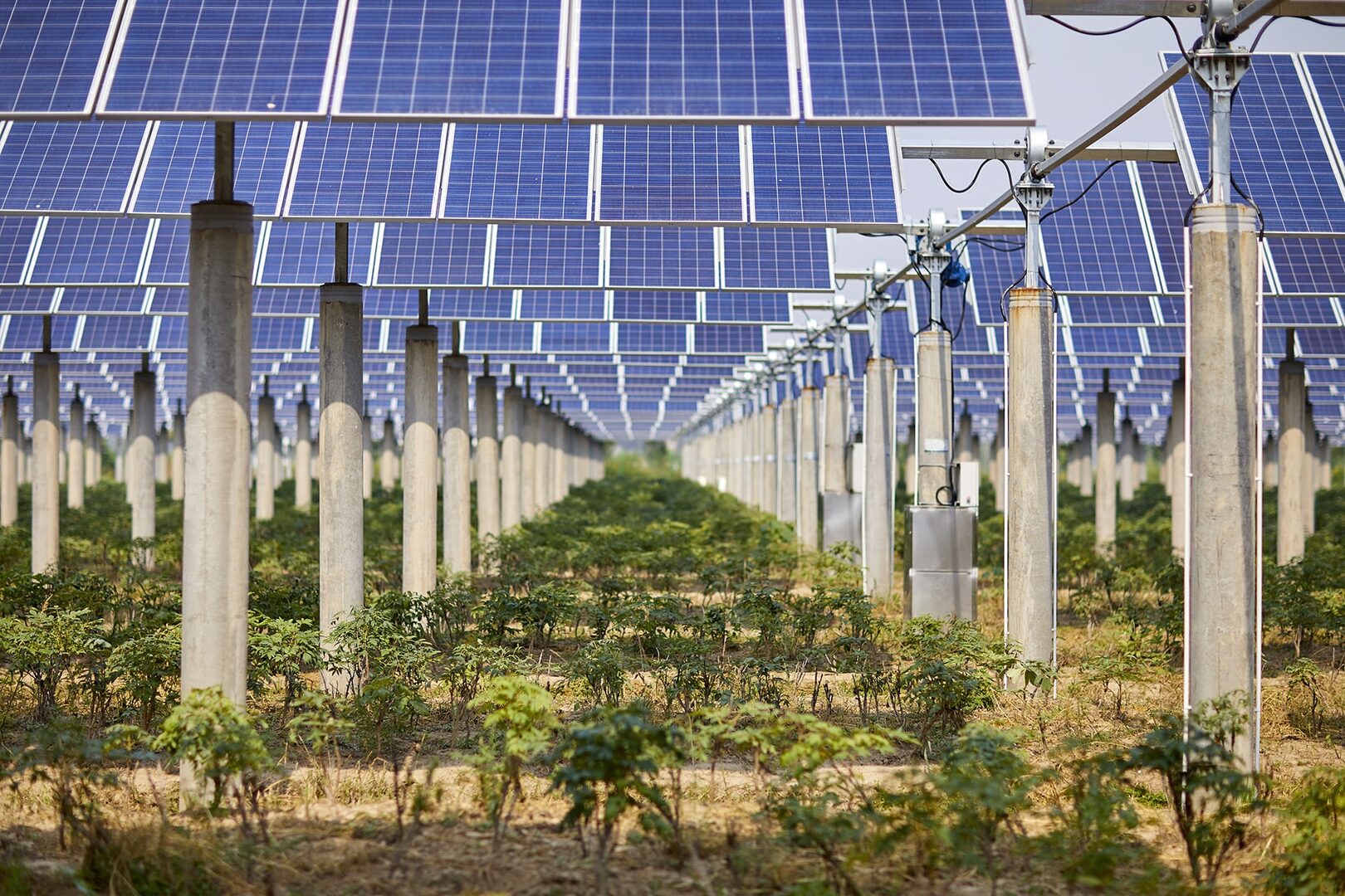 découvrez notre comparatif gratuit des systèmes photovoltaïques agricoles. comparez les options disponibles, évaluez les performances et trouvez la solution énergétiquement optimale pour votre exploitation tout en maximisant vos économies.
