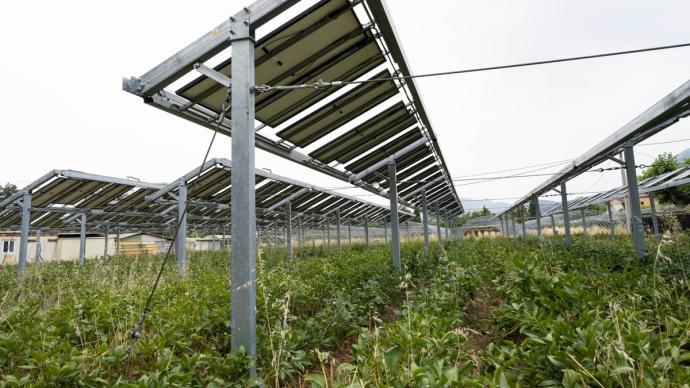 découvrez notre comparatif des systèmes photovoltaïques agricoles : analyse des performances, coûts et avantages pour optimiser l'énergie renouvelable sur vos exploitations. faites le choix parfait pour allier agriculture et durabilité.