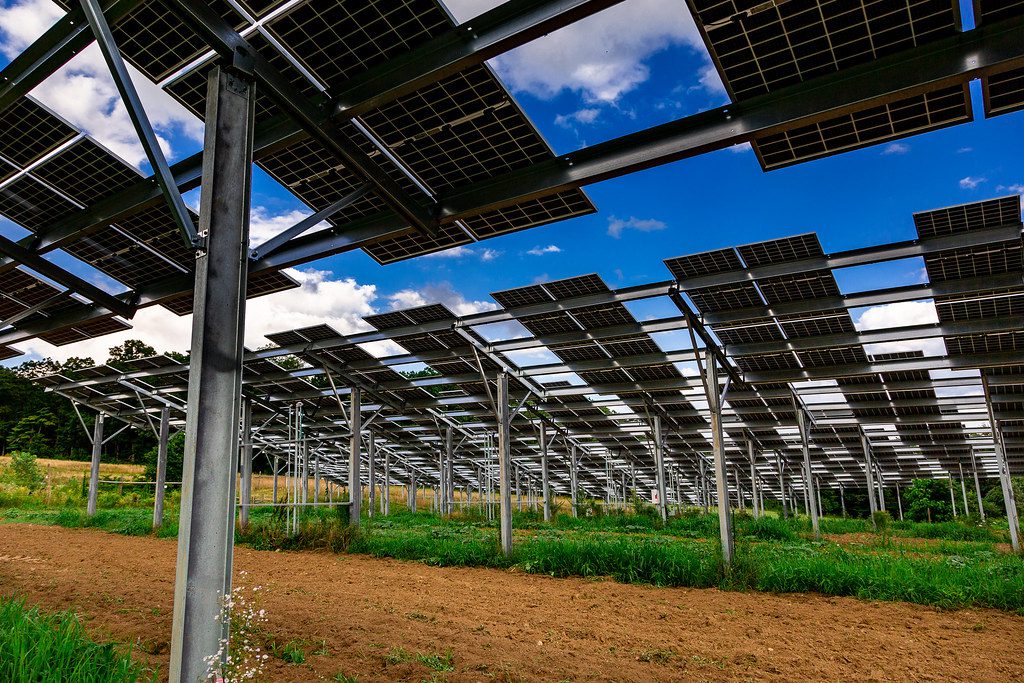 découvrez notre comparatif des solutions de synergie solaire, qui analyse les performances, les avantages et les inconvénients des différentes technologies et entreprises. informez-vous pour faire le meilleur choix pour votre projet solaire.