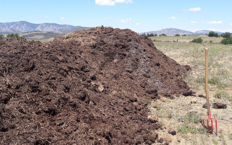 découvrez comment le compost joue un rôle essentiel dans l'agriculture écologique. apprenez à enrichir votre sol de manière naturelle, à réduire les déchets et à favoriser une biodiversité saine. adoptez des pratiques durables pour un avenir agricole respectueux de l'environnement.