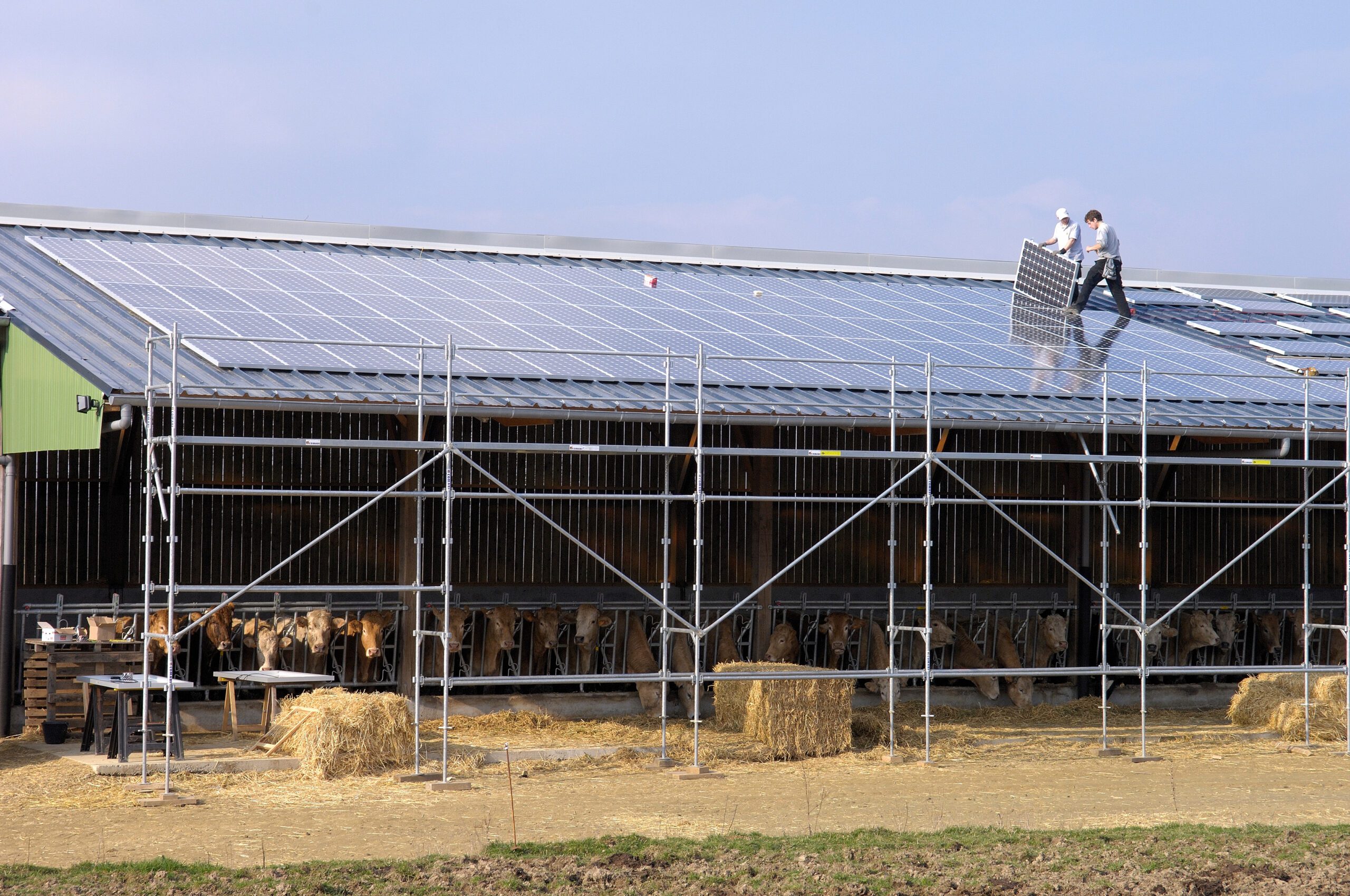 découvrez les coûts associés à la construction d'un hangar agricole photovoltaïque. optimisez vos investissements en énergie renouvelable et maximisez la rentabilité de votre exploitation tout en préservant l'environnement.