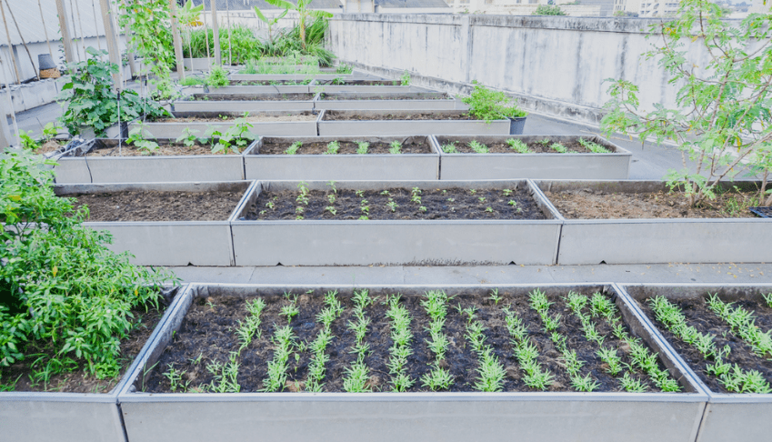 découvrez la culture verticale urbaine, une solution innovante pour cultiver des plantes dans les espaces restreints des villes. explorez les avantages écologiques, esthétiques et nutritifs de cette pratique qui transforme les paysages urbains tout en favorisant la biodiversité.