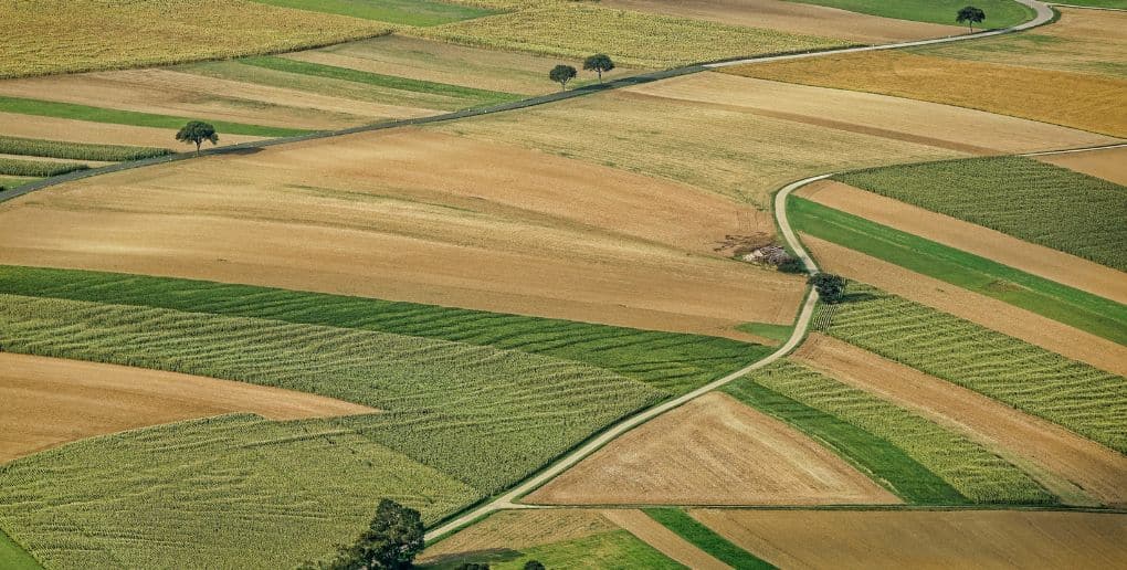 découvrez comment les cultures associées peuvent améliorer la durabilité de l'agriculture. explorez les pratiques agronomiques qui favorisent la biodiversité, optimisent les rendements et préservent les ressources naturelles pour un avenir agricole plus respectueux de l'environnement.