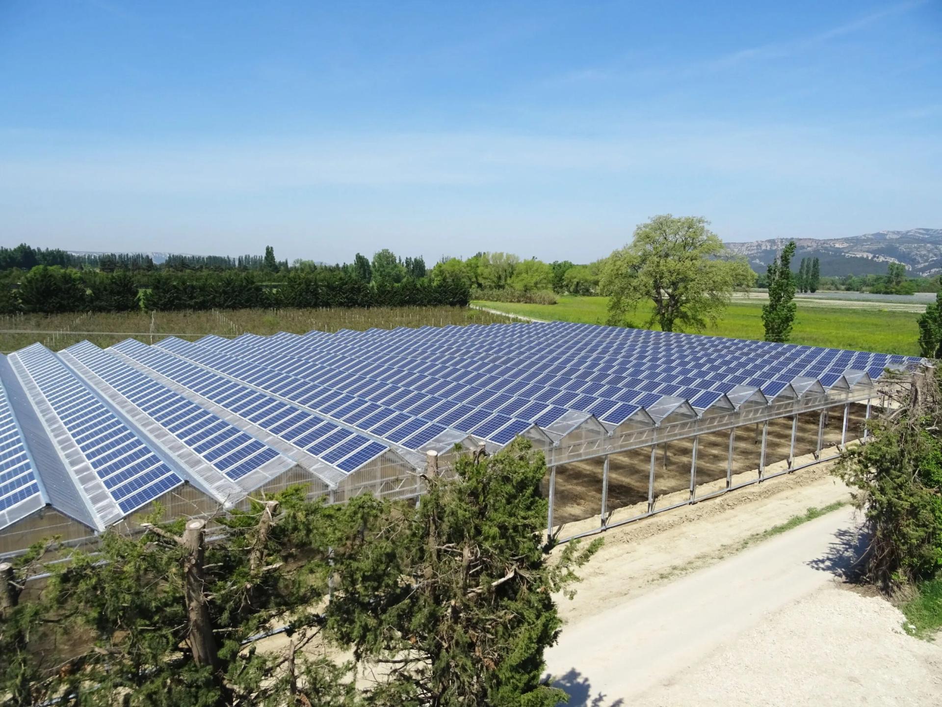 découvrez les avantages des cultures sous hangar photovoltaïque, une solution innovante qui combine agriculture durable et production d'énergie renouvelable. optimisez votre rendement tout en préservant l'environnement.