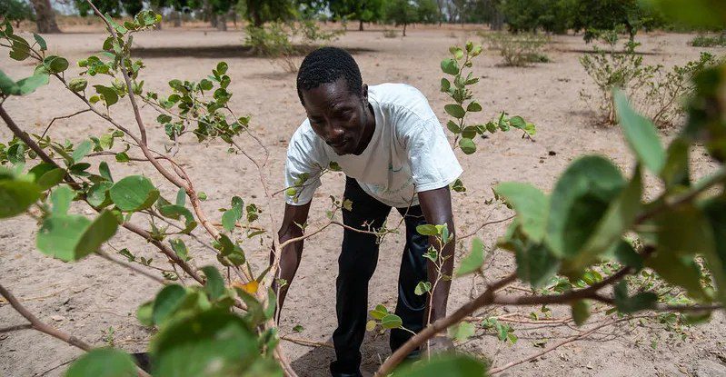 découvrez les défis actuels liés à l'adoption des technologies agricoles, comment ces innovations transforment le secteur et les solutions pour surmonter les obstacles rencontrés par les agriculteurs.
