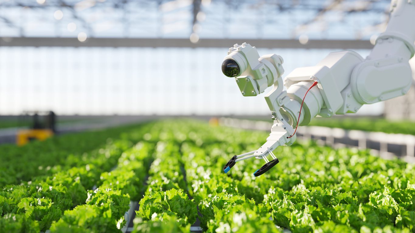découvrez les défis liés à l'adoption des technologies agricoles, de l'intégration des innovations à l'acceptation par les agriculteurs, et explorez des solutions pour surmonter ces obstacles afin d'améliorer la productivité et la durabilité dans le secteur agricole.