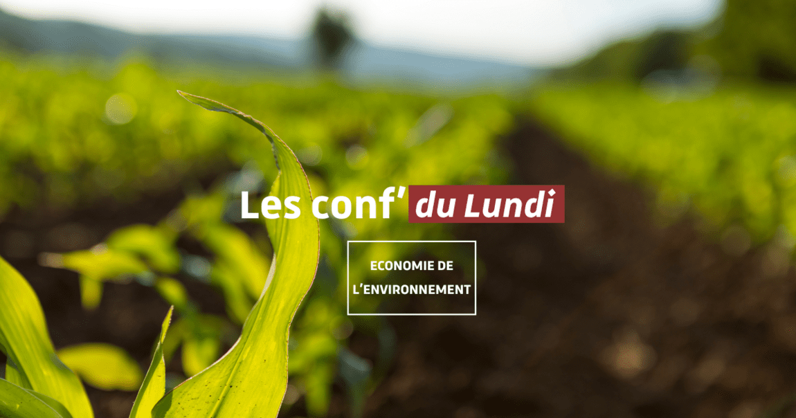 découvrez les principaux défis de l'agriculture écologique, incluant la durabilité, la gestion des ressources naturelles et les impacts environnementaux. plongez dans des solutions innovantes et des pratiques responsables pour une agriculture respectueuse de l'écosystème.