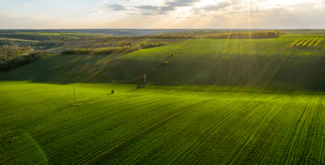 découvrez comment les données transforment le secteur agricole, en améliorant la productivité, la durabilité et la prise de décision. plongez dans l'univers de l'agrotechnologie et explorez les innovations qui façonnent l'avenir de l'agriculture.