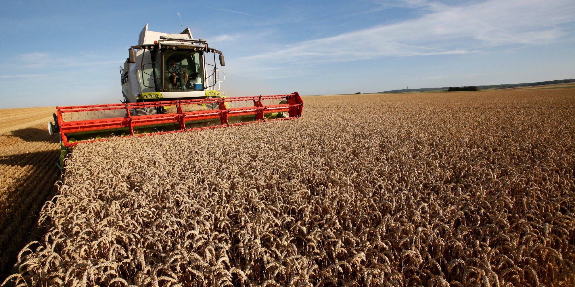 découvrez comment les données transforment le secteur agricole en optimisant les récoltes, en améliorant la gestion des ressources et en favorisant une agriculture durable. plongez dans l'univers des technologies agricoles et de l'analyse des données pour un avenir meilleur.