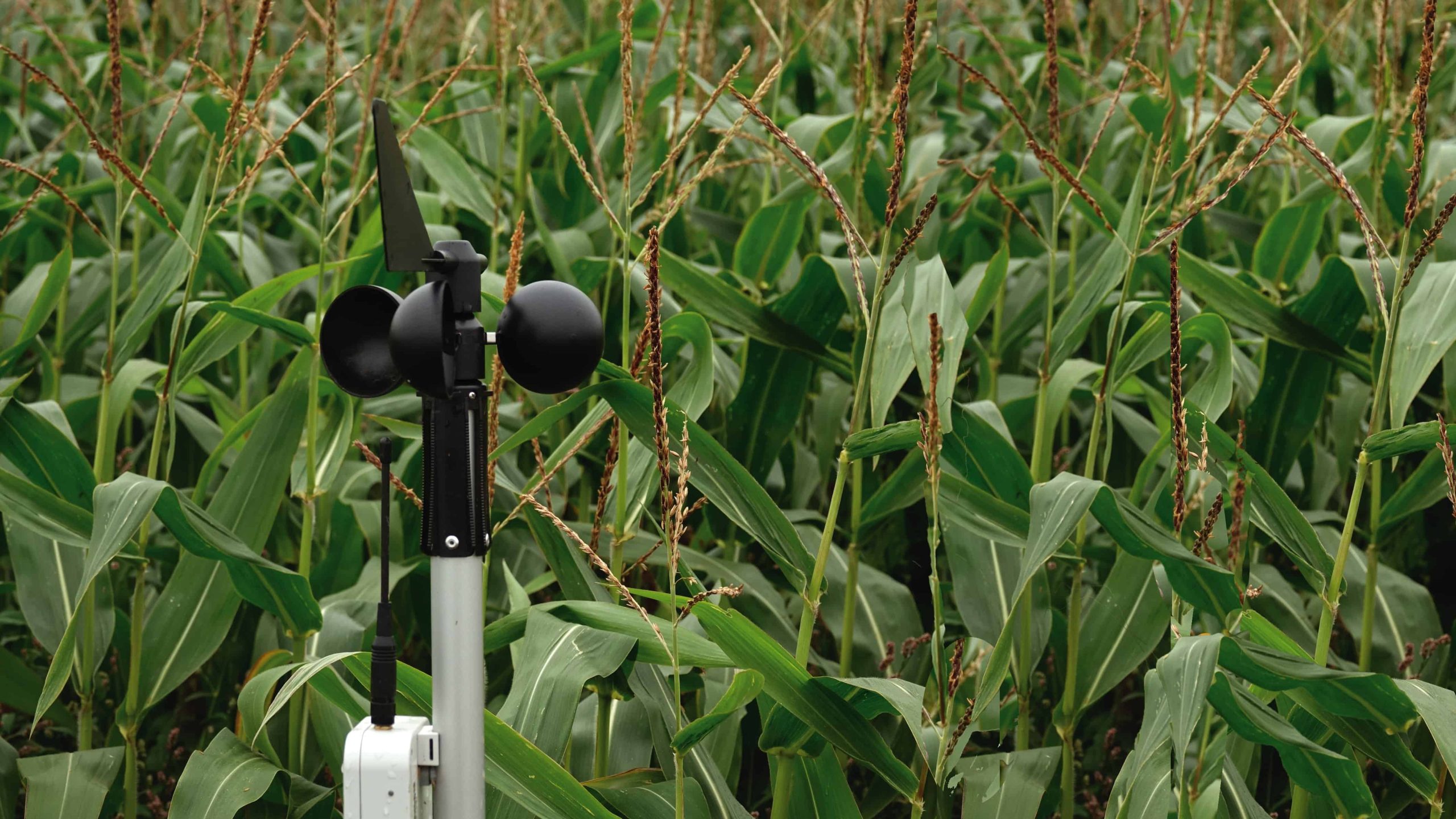 découvrez comment les données révolutionnent le secteur agricole, en améliorant les rendements, optimisant les ressources et favorisant des pratiques durables. explorez l'impact de l'analyse des données sur les cultures et l'élevage.