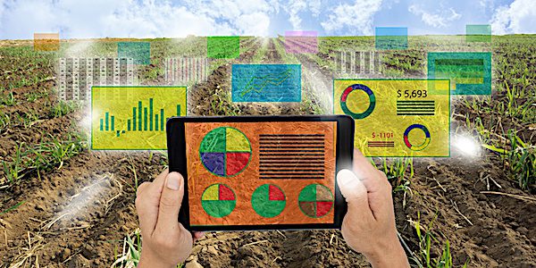 découvrez comment les données transforment l'agriculture moderne. explorez les technologies innovantes, l'analyse des données et leur impact sur la productivité, la durabilité et la prise de décision dans le secteur agricole.