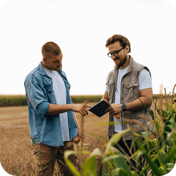 découvrez comment les données révolutionnent le secteur agricole en optimisant les rendements, améliorant la gestion des ressources et favorisant une agriculture durable. explorez les innovations technologiques qui transforment les pratiques agricoles modernes.