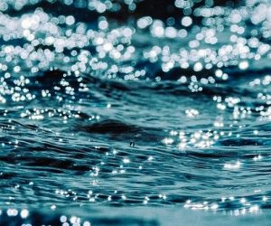découvrez comment l'eau et l'énergie durable se rejoignent pour façonner un avenir respectueux de l'environnement. explorez des solutions innovantes et des pratiques durables qui préservent nos ressources naturelles tout en répondant aux besoins énergétiques de demain.