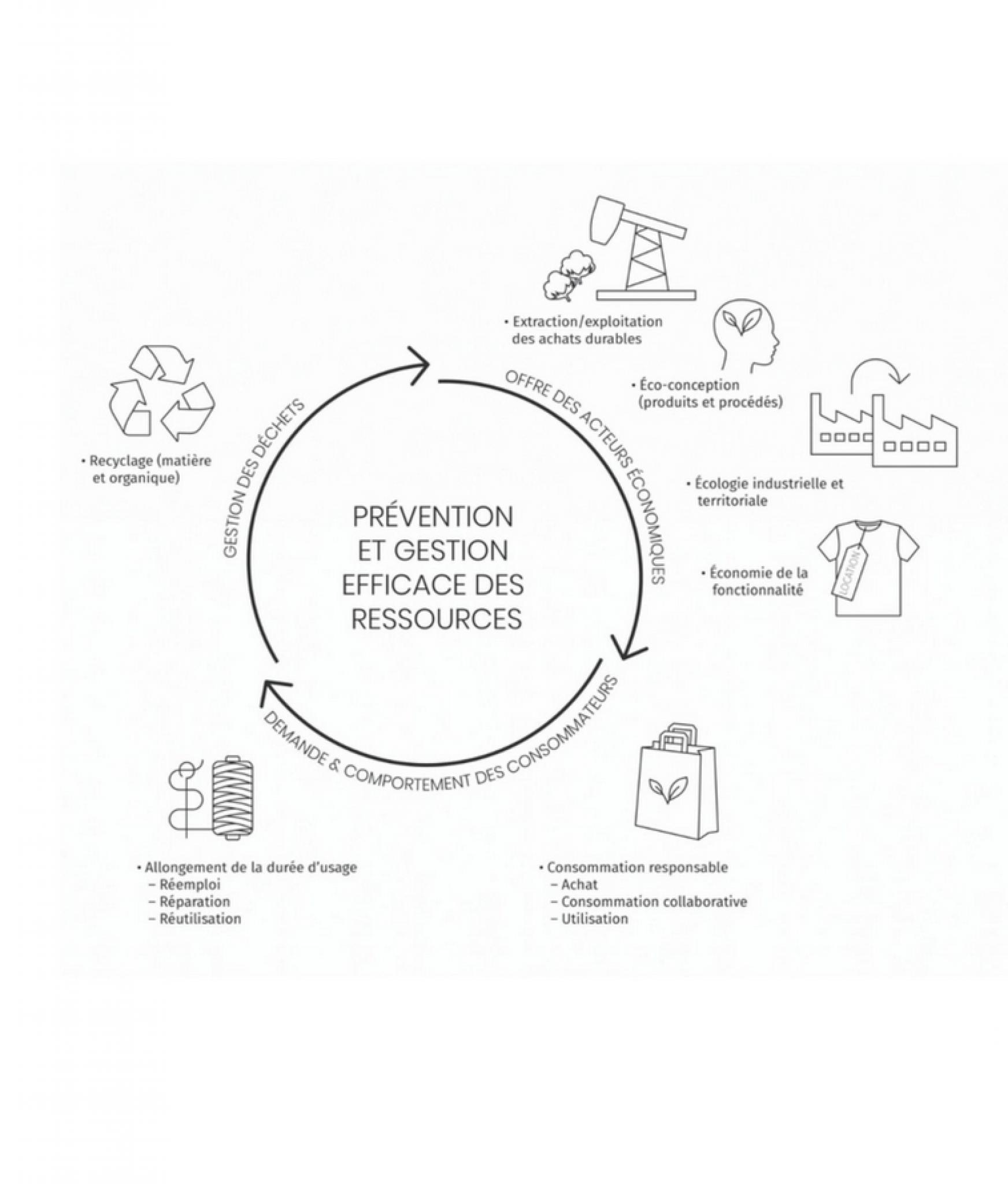 découvrez comment l'économie circulaire transforme notre manière de consommer et de produire. adoptez des pratiques durables pour réduire le gaspillage, préserver les ressources et construire un futur plus vert.