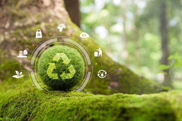 découvrez l'économie circulaire, un modèle durable qui transforme nos habitudes de consommation. apprenez comment recycler, réutiliser et réduire les déchets pour préserver nos ressources et protéger notre planète tout en stimulant l'innovation et la croissance économique.