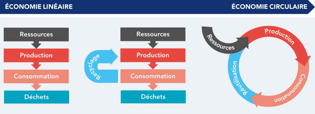 découvrez l'économie circulaire, un modèle durable qui révolutionne notre manière de consommer et de produire. apprenez comment réduire les déchets, réutiliser les ressources et adopter des pratiques respectueuses de l'environnement pour un avenir meilleur.