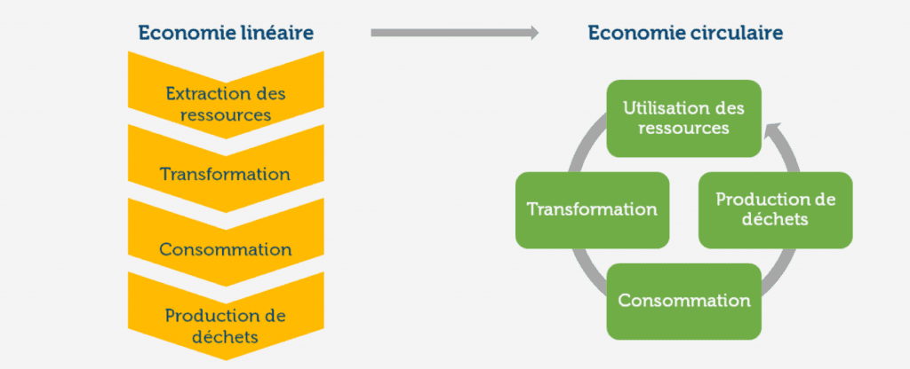 découvrez l'économie circulaire : un modèle durable qui minimise le gaspillage, maximise la réutilisation des ressources et favorise la durabilité. apprenez comment cette approche innovante transforme notre manière de consommer et d'interagir avec l'environnement.