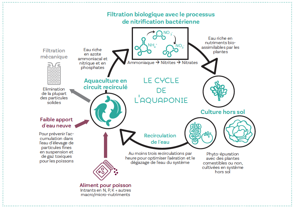 découvrez comment l'économie circulaire transforme le secteur de l'agriculture en optimisant les ressources, réduisant les déchets et favorisant la durabilité. explorez les pratiques innovantes qui permettent de réutiliser et de recycler dans le domaine agricole pour un avenir plus vert.