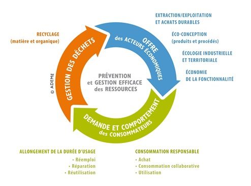 découvrez comment l'économie circulaire booste la compétitivité des entreprises en réduisant les déchets, en optimisant les ressources et en favorisant l'innovation durable. apprenez à transformer votre modèle économique pour un avenir plus prospère et responsable.