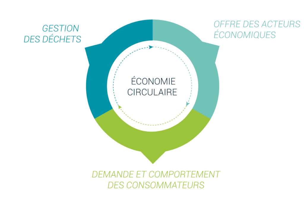 découvrez comment l'économie circulaire et durable transforme nos modes de consommation en favorisant la réduction des déchets, la réutilisation des ressources et l'innovation responsable. adoptez des pratiques éco-responsables pour un avenir plus durable.