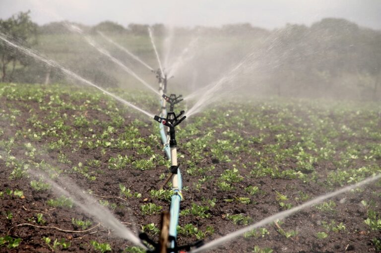 découvrez comment optimiser l'utilisation de l'eau en agriculture grâce à des pratiques durables et innovantes. apprenez les techniques essentielles pour économiser l'eau tout en augmentant la productivité de vos cultures.